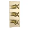 JTP Solex Brushed Brass Twin Outlet Thermostatic Concealed Shower Valve Vertical