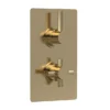 Hudson Reed Tec Pura Concealed Twin Shower Valve With Built-in Diverter - Brushed Brass