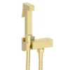 Arezzo Square Douche Shower Spray Kit With Bar Shut-Off Valve And Hose Brushed Brass