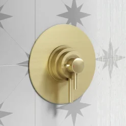 Arezzo Brushed Brass Round Concealed Dual Thermostatic Shower Valve -Bathroom Products Shop azsv4bb d2