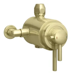 Arezzo Brushed Brass Round Concealed Dual Thermostatic Shower Valve -Bathroom Products Shop azsv4bb n d1