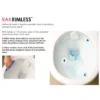 RAK Moon Rimless Back To Wall Pan + Soft-Close Seat