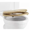 Burlington Soft Close Golden Oak Toilet Seat