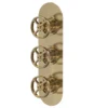 Hudson Reed Revolution Industrial Triple Concealed Thermostatic Shower Valve With Diverter - Brushed Brass