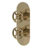 Hudson Reed Revolution Industrial Twin Concealed Thermostatic Shower Valve - Brushed Brass