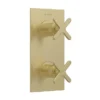 Heritage Salcombe 2 Outlet Twin Concealed Thermostatic Shower Valve - Brushed Brass