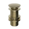 Heritage Clicker Basin Waste - Unslotted - Brushed Brass